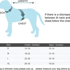 Spooktacular Skeleton Halloween Costume for Cats and Dogs - Pet Costumes -Halloween Costumes Sales 2022 55477 result