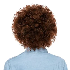 Spooktacular 70s Disco Halloween Costumes Wigs - Costume Accessories -Halloween Costumes Sales 2022 Brown Afro Wig with Beard Adult 1 结果