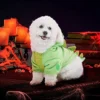 Spooktacular Dinosaur Hoodie Halloween Pet Costumes - -Halloween Costumes Sales 2022 Dinosaur Pet Costume 5