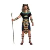 Spooktacular Men Egyptian Pharaoh Halloween Costume - Adult Costumes -Halloween Costumes Sales 2022 Mens Pharaoh Costume Adult