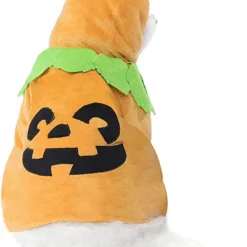 Spooktacular Pumpkin Halloween Costume for Cats and Dogs - Pet Costumes -Halloween Costumes Sales 2022 Pumpkin Pet Costume 2