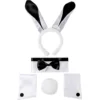 Spooktacular 5pcs Bunny Costume Accessories - -Halloween Costumes Sales 2022 Sexy Bunny Accessories 5