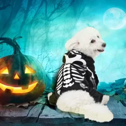 Spooktacular Skeleton Halloween Costume for Cats and Dogs - Pet Costumes