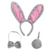 Spooktacular 3pcs Bunny Halloween Costume Accessories Set - -Halloween Costumes Sales 2022 nM5GZ5T8